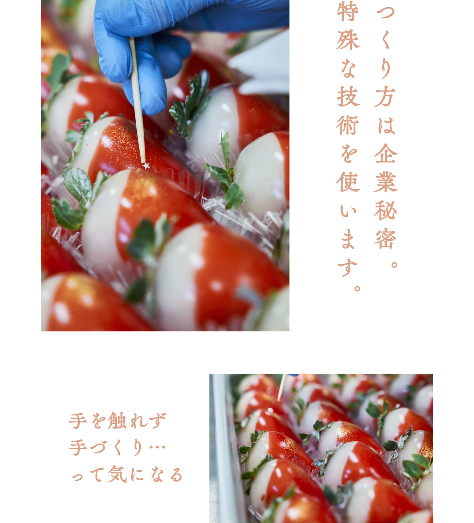 JewelryBoxルビーのいちごDAIFUKU [A034BN] | 店舗,吉岡製菓