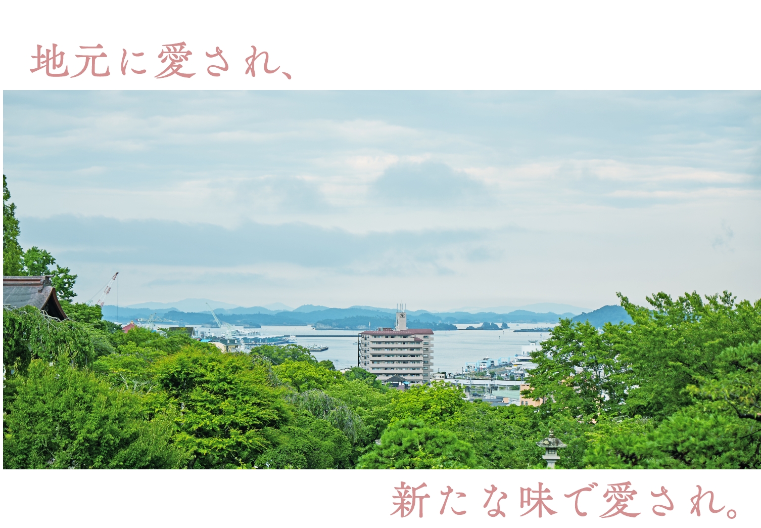 東太平洋 30枚入(化粧箱) [A066BN] | 店舗,梅花堂 | 旅するよう