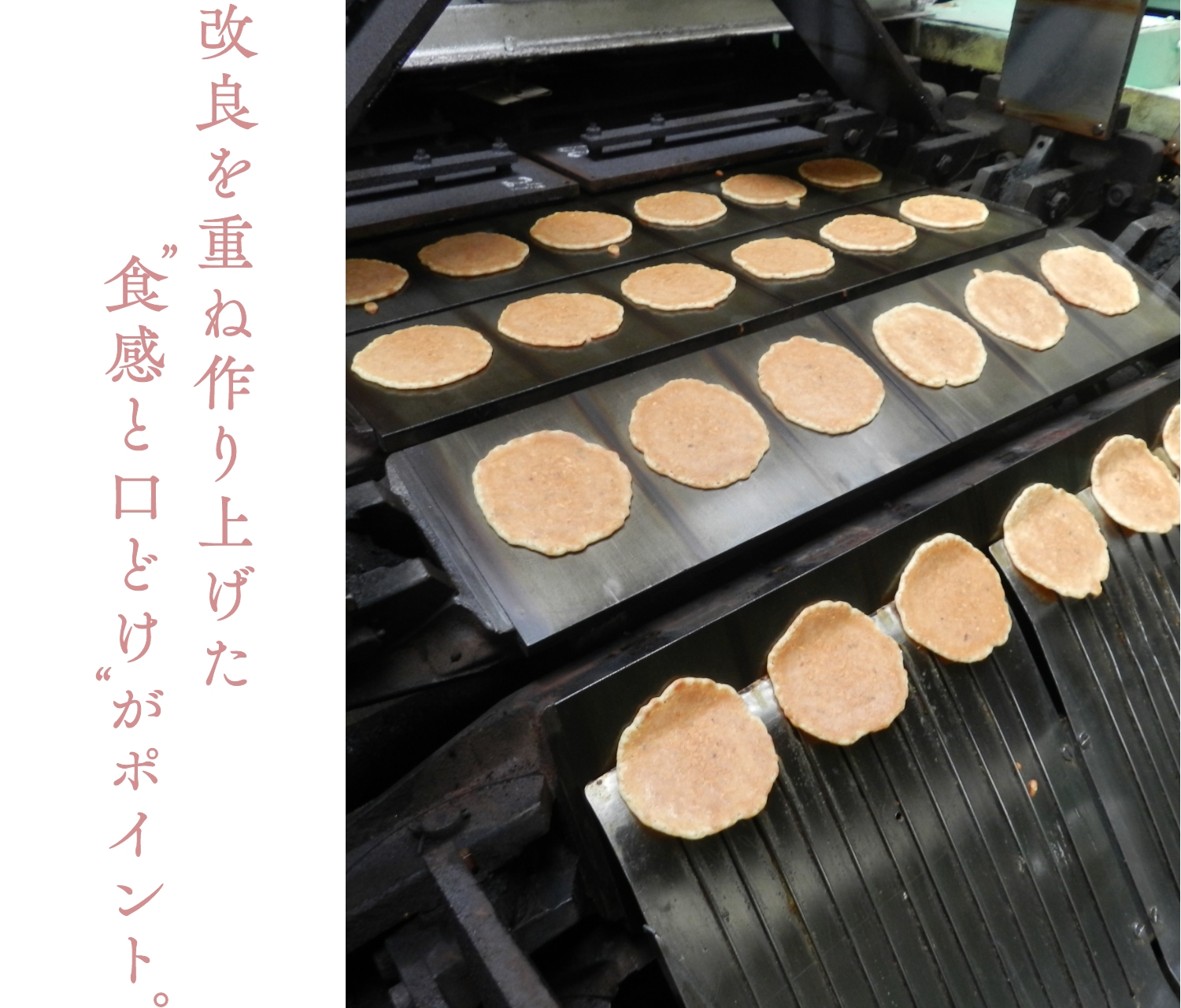送料無料】博多あまおう 等級DX（デラックス）1ケース（約270g×2